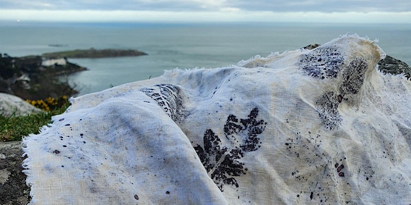 A Foraging Stroll Up Killiney Hill & Eco-Printing With Irish Linen event promotion