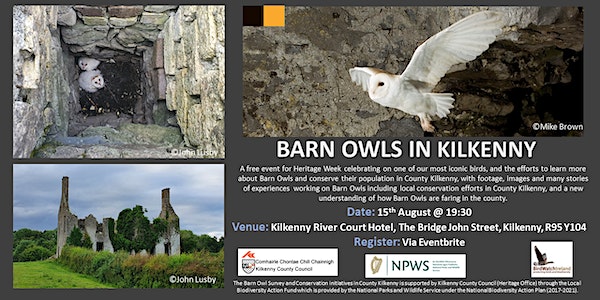 Barn Owls in Kilkenny event promotion