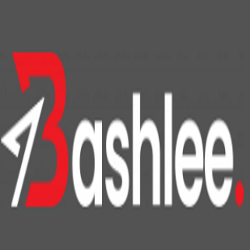 Bashlee Recruitment Recruitment Agencies Dublin 6 county Dublin