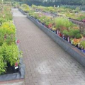 McGills Garden Centre Garden Centres Castleconnell county Limerick