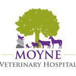 Moyne Veterinary Hospital Veterinarians Enniscorthy county Wexford