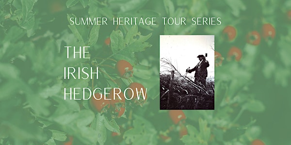 Heritage Week: The Irish Hedgerow event promotion